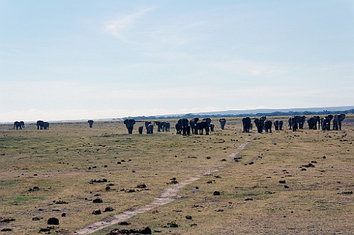 Kenia (138)